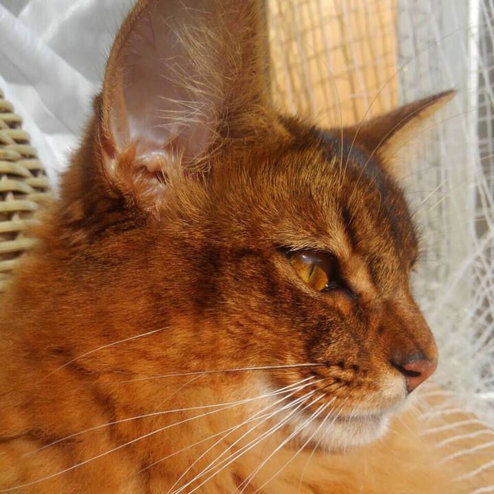 Cea064b7 714c 418d 8383 a7792557caab 1601252405005