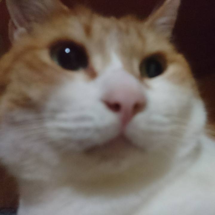 Cea06b1d a663 4c52 8add dcb9ed08bb7b 1586177564820