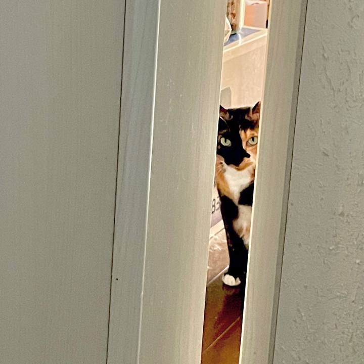 Cea071ae f6e6 44bb 9be9 25268d7fc935 1725720524465