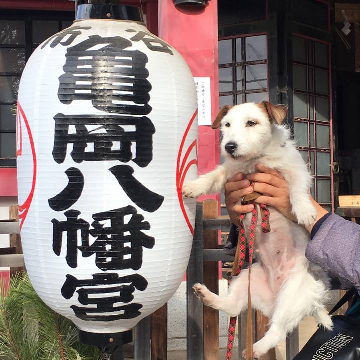 Cea07f97 e032 4651 9b77 deac841a6ca9 1546843962800