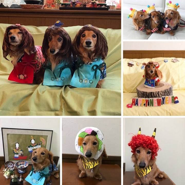 Cea0a695 a3f7 4fb5 8035 a4150ec783e9 1551611956210