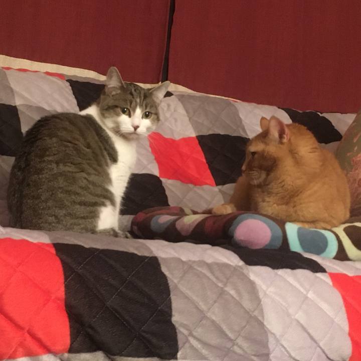 Cea0c7ae addc 451e b5e2 105f8ee649ff 1633048376991