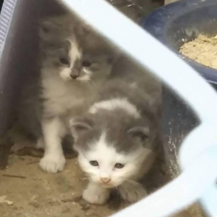 Cea0d682 fcdf 402c afce 2884436da509 1589840552300