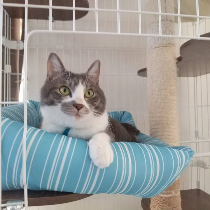 Cea0fdbc 5ee3 4000 af92 489a1f1e888b 1608869688295