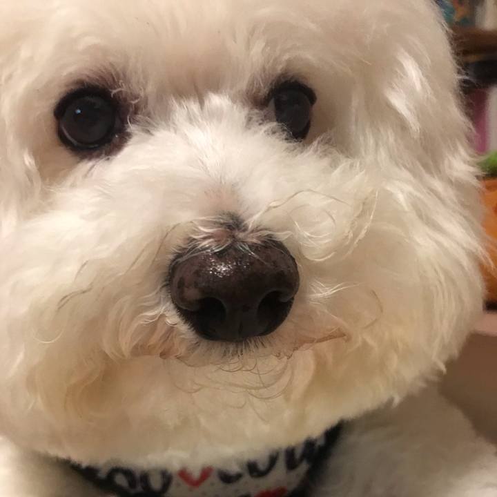 Cea145c6 521d 48e4 b14f 1ec564d2ca2d 1599222704498