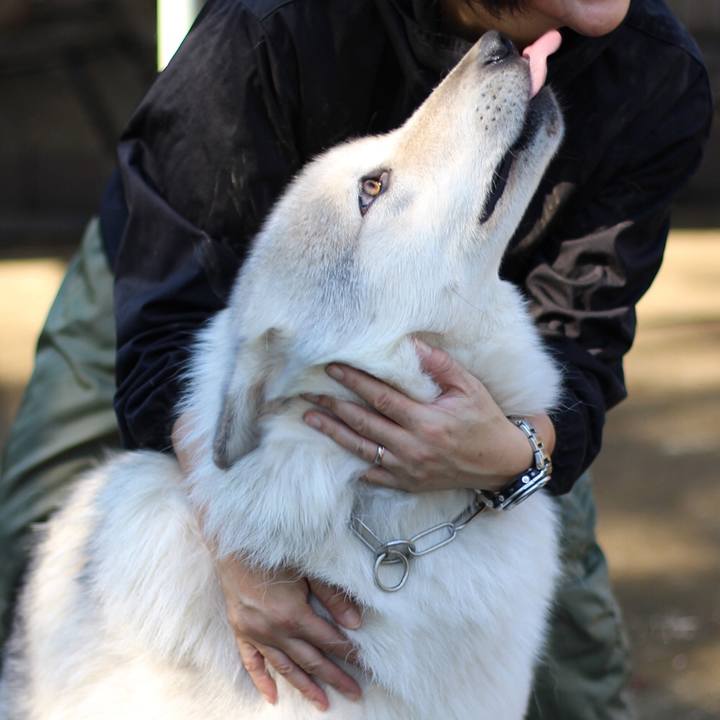 Cea156b2 6230 4e40 ab63 1404a516c335 1602806724383