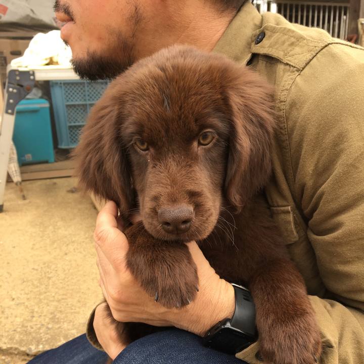 Cea1b1c7 23e4 4f36 89f2 1df82157f1c8 1552603190153