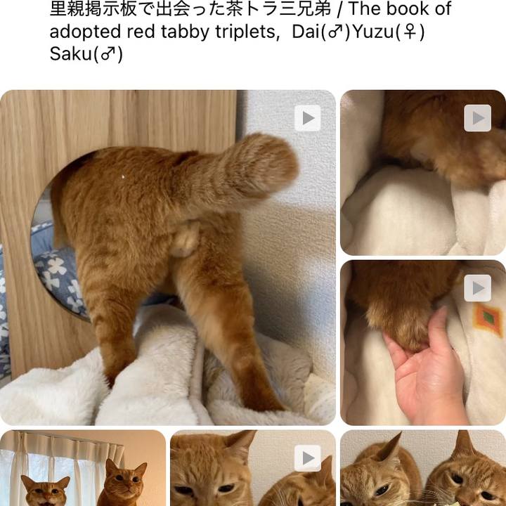 Cea1e092 bfb9 49c3 9115 4aebd30d3ceb 1773404991909