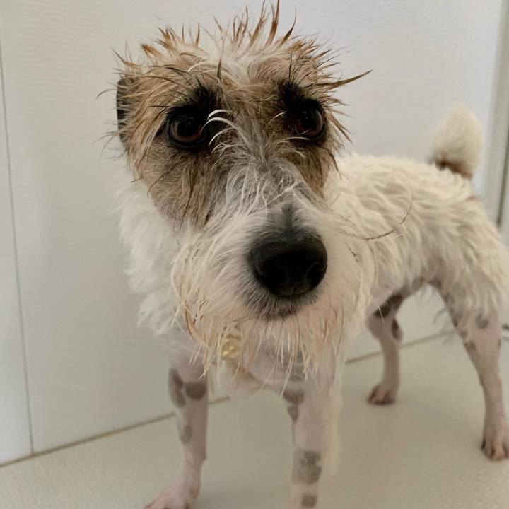 Cea23131 f6e7 4f9a be05 8de5911bc0e4 1653805691047