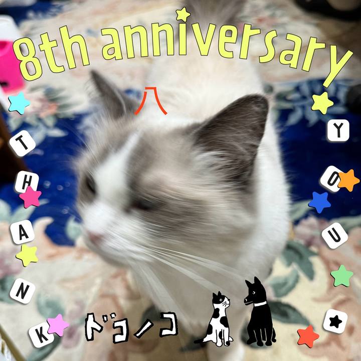 Cea26bbd 638b 4d33 88b5 30e4a6749b11 1717804835446