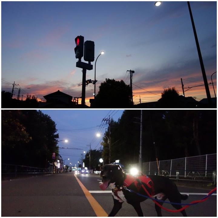 Cea27786 8a9e 4187 8116 69683237e797 1597316469044