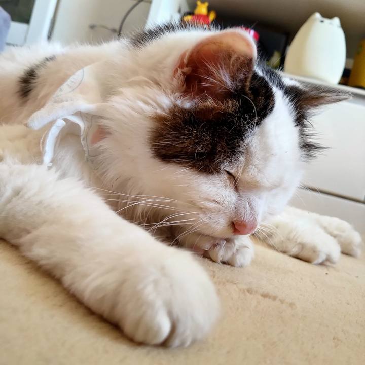 Cea28bb2 fbd6 4c80 bb66 30c36fad39e6 1580529602370