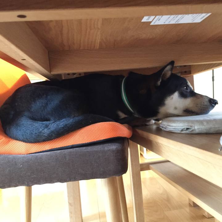 Cea2aced 7d22 477e 8a2f 3096182aafbf 1514163096133