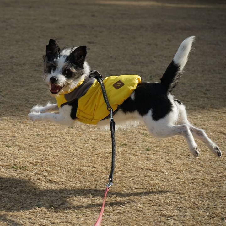 Cea2bf8c a8b1 42b2 960e 4f5bd7d24021 1705669808479