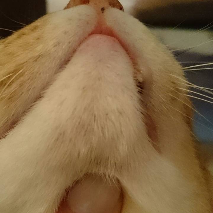 Cea2cd27 30d7 43f6 a0e9 50de8822e8a1 1519820790981