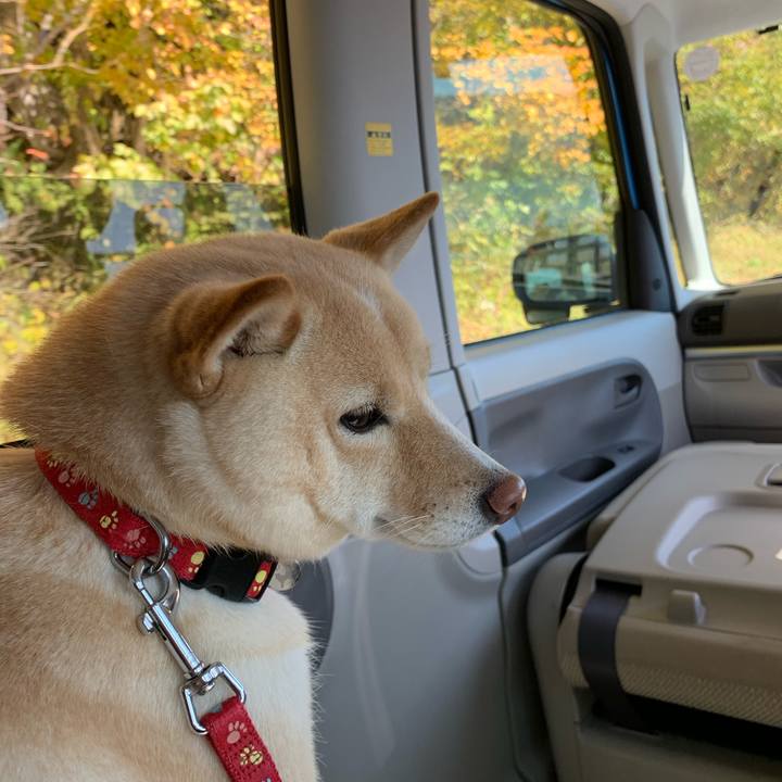 Cea2d214 6ba9 42ba 9561 17e94dc5a66a 1635591097893