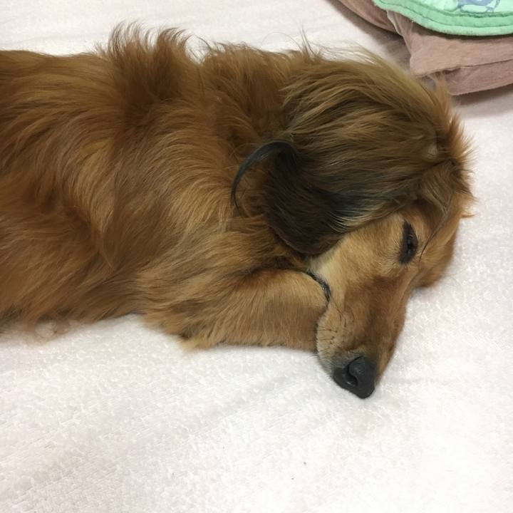 Cea30fb8 a6b1 4fa4 88d2 ce7c44f2d33c 1522658089386