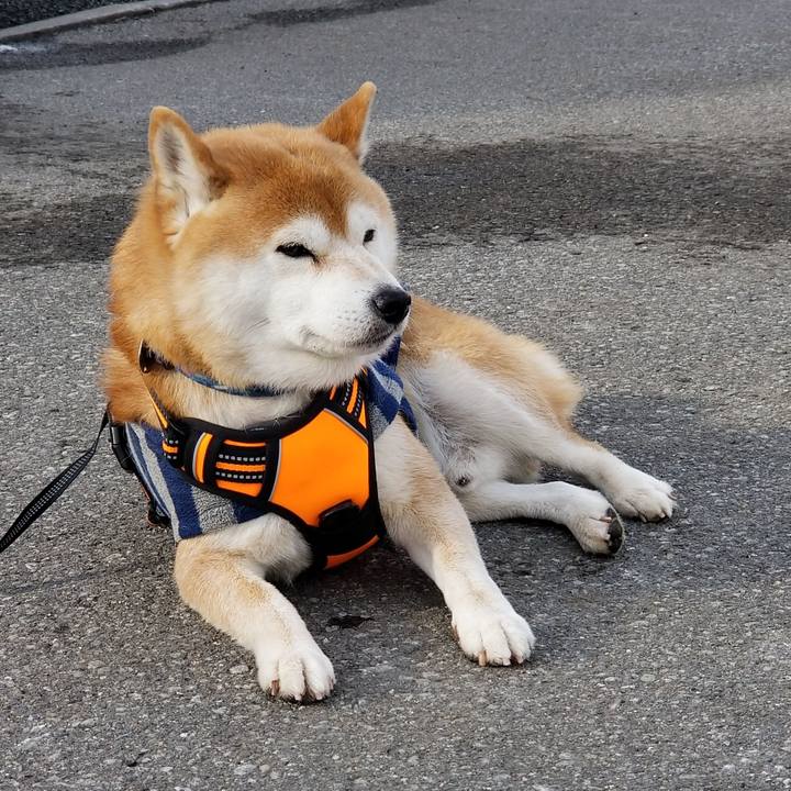 Cea311fb f7b2 4aca 8eca fee7743e19c5 1581314688680