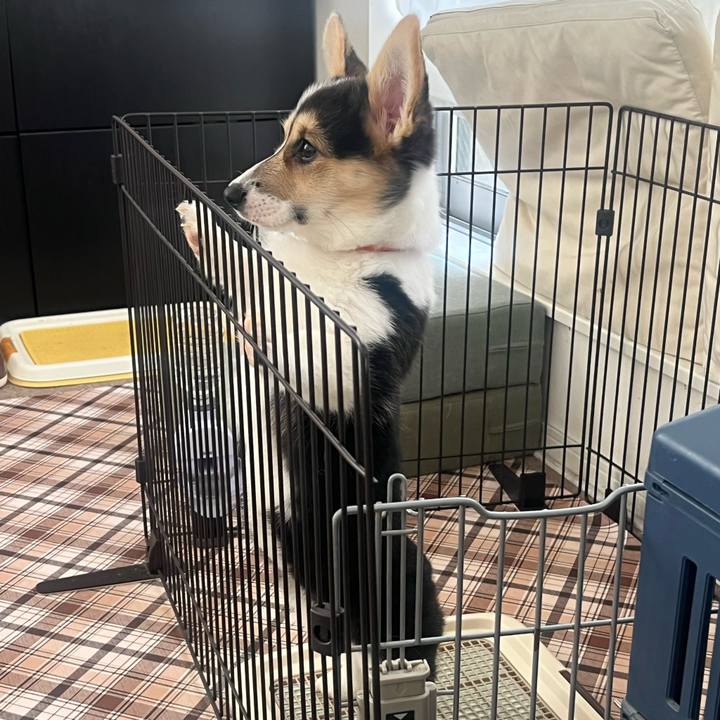 Cea3163b 0f04 48d7 ae80 e942e540835d 1771724667194