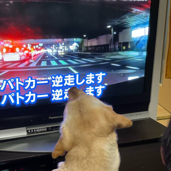 Cea3211e 8ba1 49e0 a12a ddc39dd5e7c1 1673062180988