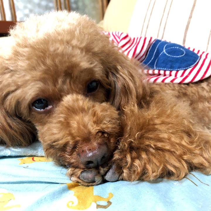 Cea328ff 297d 409c 85d7 bad080a52112 1561288255379