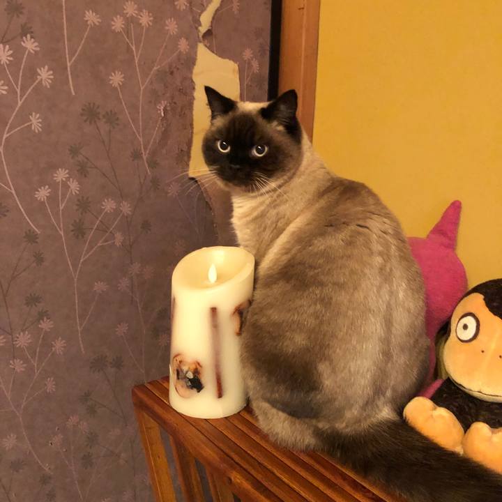 Cea3394d a75a 438a b5b0 5e873c42b374 1612657698164