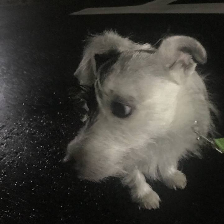 Cea379d8 dafe 42e6 8233 c0dbe6aacadb 1537273382003