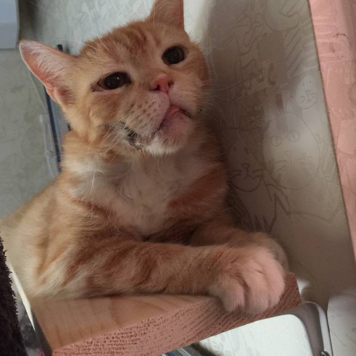 Cea38890 425b 46c9 a719 60d8f56e96b6 1569914117611