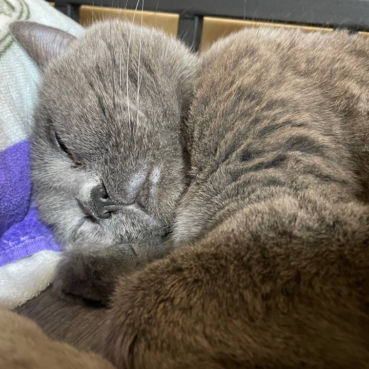 Cea3b512 05fb 44d0 82b9 978ded1a0f3c 1773476048372