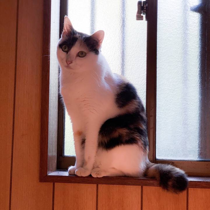 Cea3b96a 2d5a 4ab6 a93f c02e79e48a5f 1568944566659