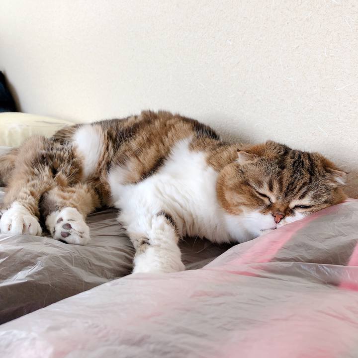 Cea3ba54 0205 4352 8238 0cc0aa7e6056 1558928807040