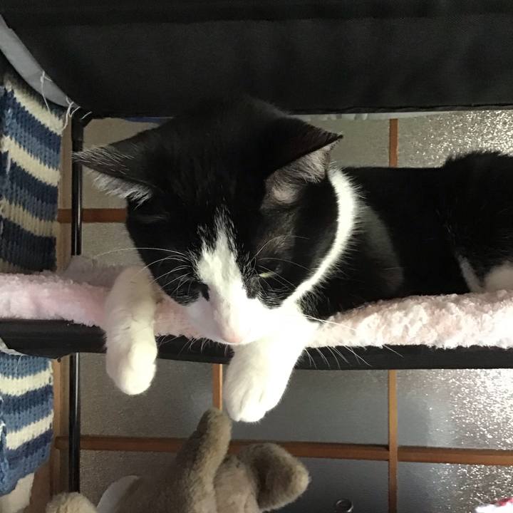 Cea3d9e6 f2f6 40e5 bcc3 ea28359f95ad 1759910187345