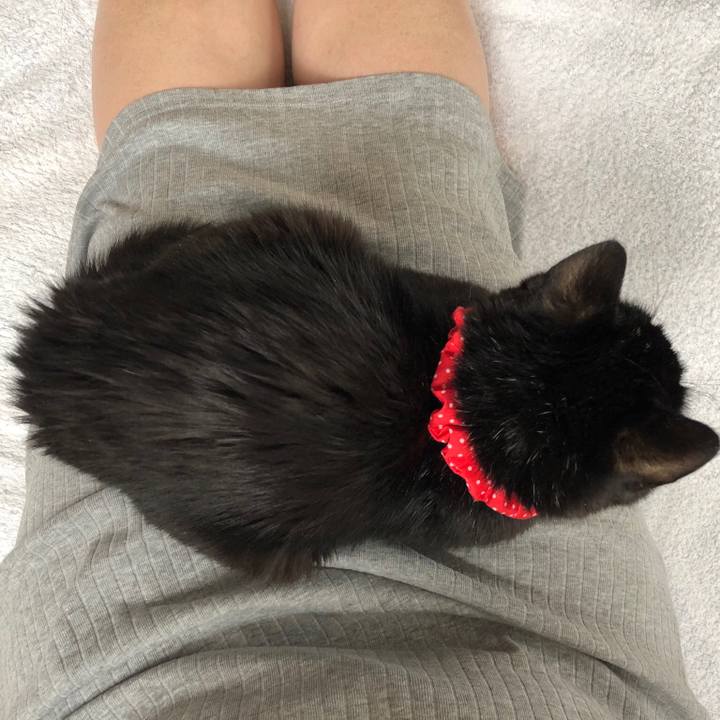 Cea3e564 759b 4b52 9318 e1bcfc7a26bf 1554507765581