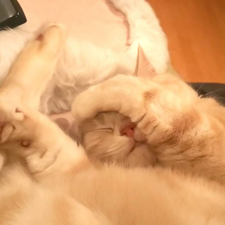 Cea40e2a 4433 47e9 b80e 38cd40d4303f 1587330998851