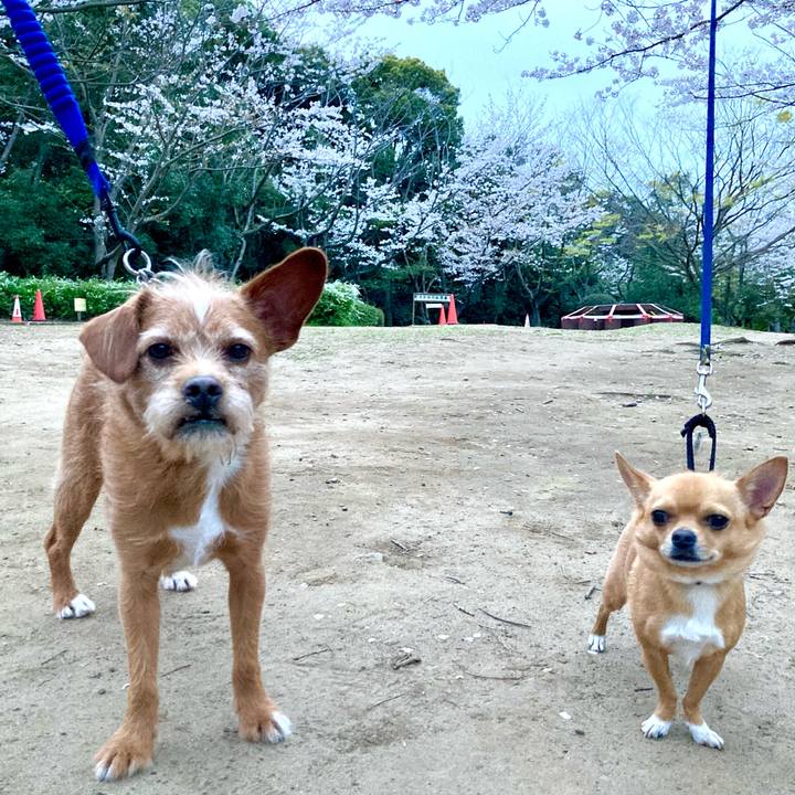 Cea41101 00a6 4271 afdf ed595462a69f 1616997375320