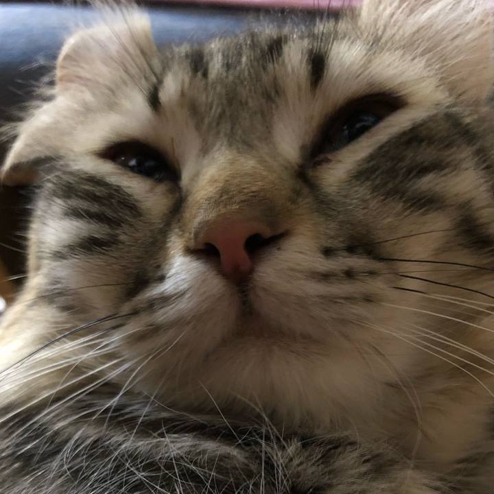 Cea4254e 9d67 4cf1 a804 53cf0d875ddb 1518831405650