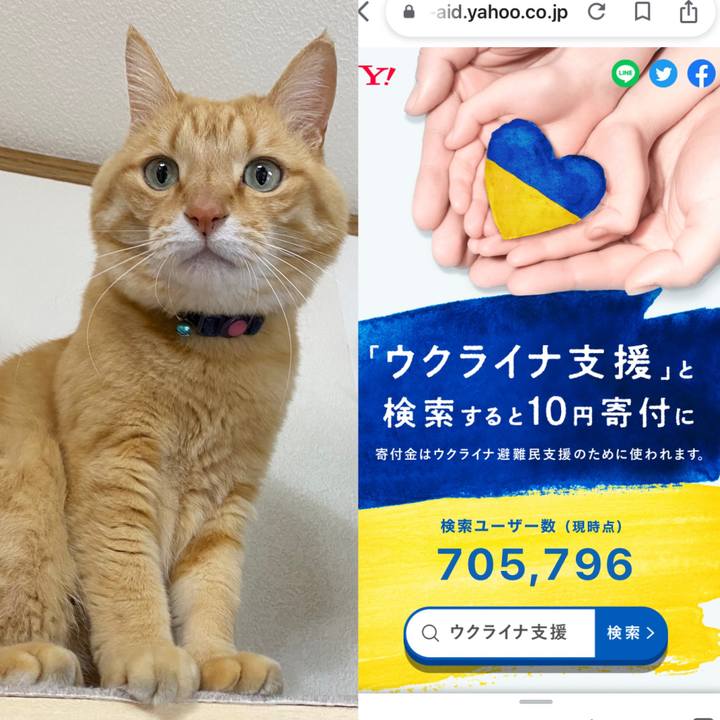 Cea44a5c b932 4311 bbfc 56ee94cce950 1655203657118