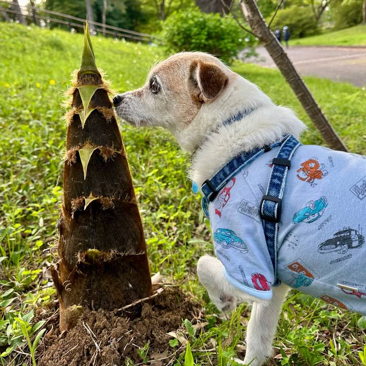 Cea44c3c cc04 4309 8fc0 076bf89e9b86 1713605709292