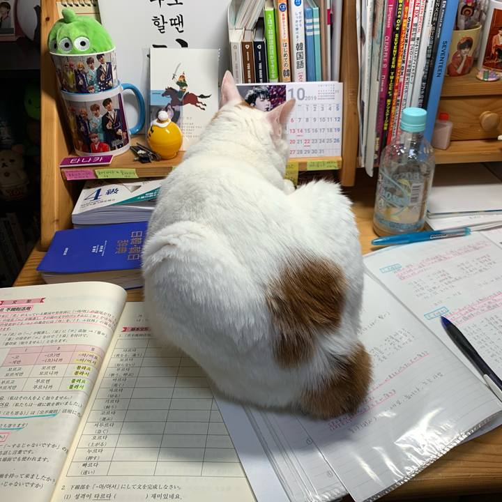 Cea45898 b897 4ea6 bcf8 8349d39e8025 1572124997580