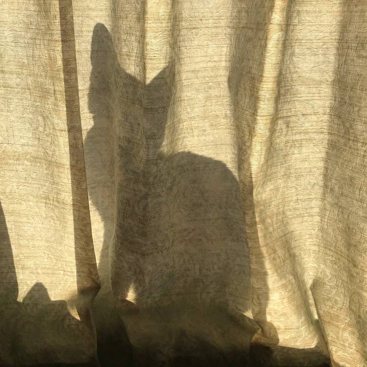 Cea4e012 2876 4073 8aee 238a3e333e8f 1590203004000