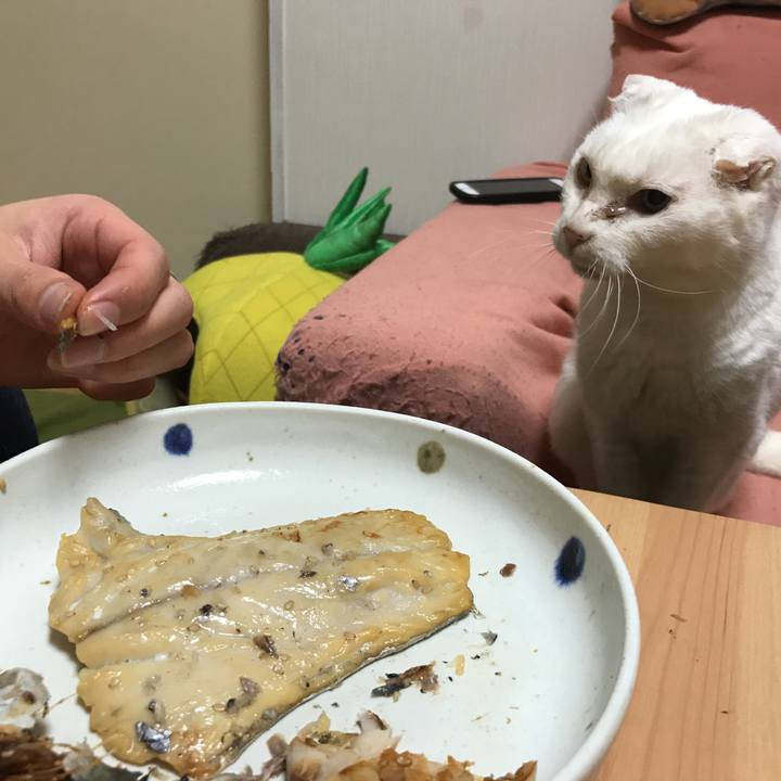 Cea4fea0 43fa 428c b917 d331235f4c75 1519209583247