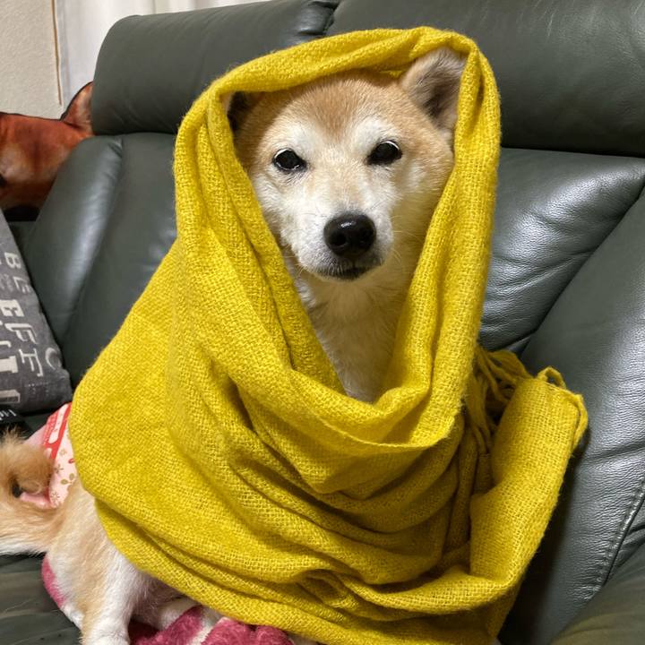 Cea500cd 6d87 475b aef2 9d0dd0cf5104 1636494351363