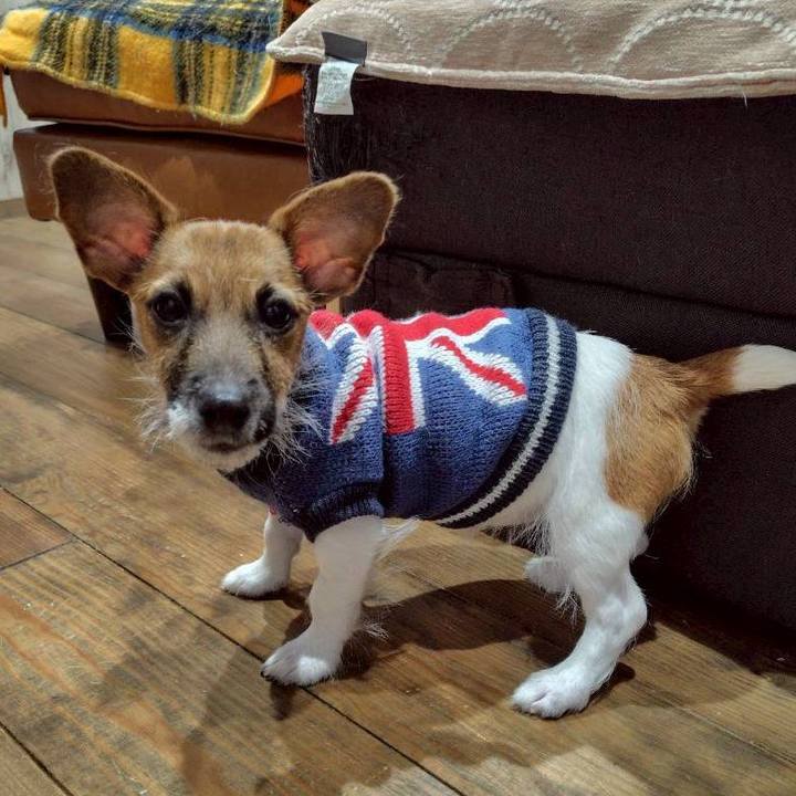 Cea50739 cfcc 47ae b26c 7869775c0165 1766073968486