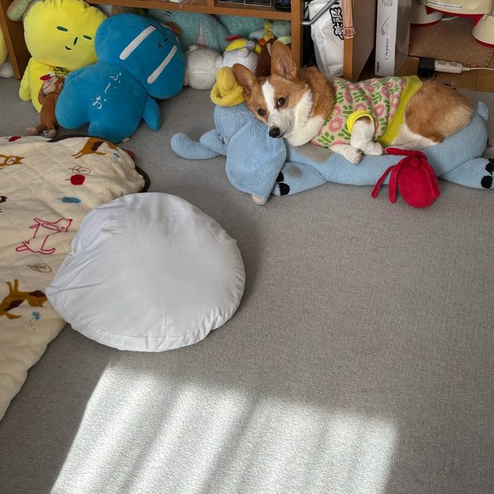 Cea51ae5 bceb 429c a67b 510c9fd45dd0 1769490449378