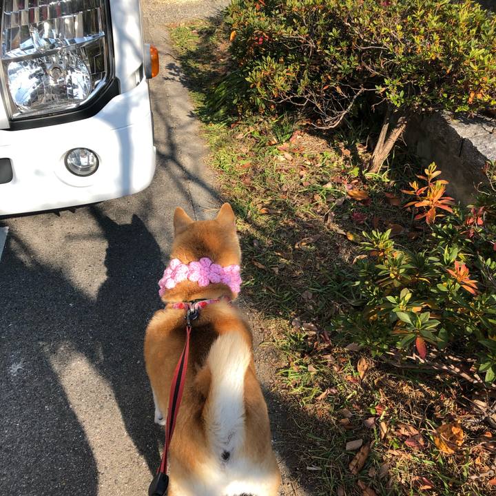 Cea527b1 4b63 467a a458 429896f1fae4 1608635259888