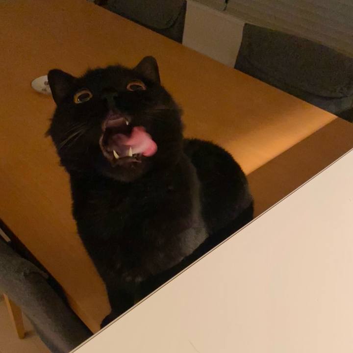 Cea53e94 3844 416e 83c1 e0b537f1749f 1750770070349