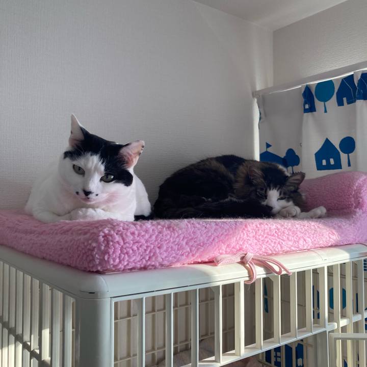 Cea5737f b877 418d 94f6 9e001a74ccb3 1774251453248