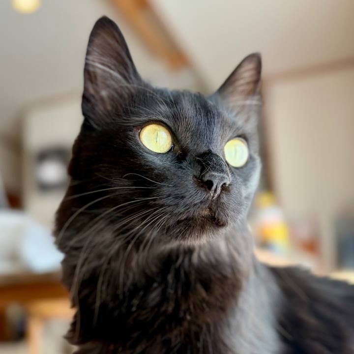 Cea578a4 b771 4775 833b 53ea7f5e2daf 1774330314498