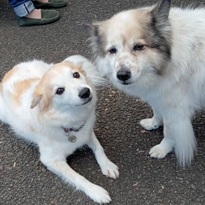 Cea57f26 441d 4e72 a523 d604ff50bd6c 1636885702246