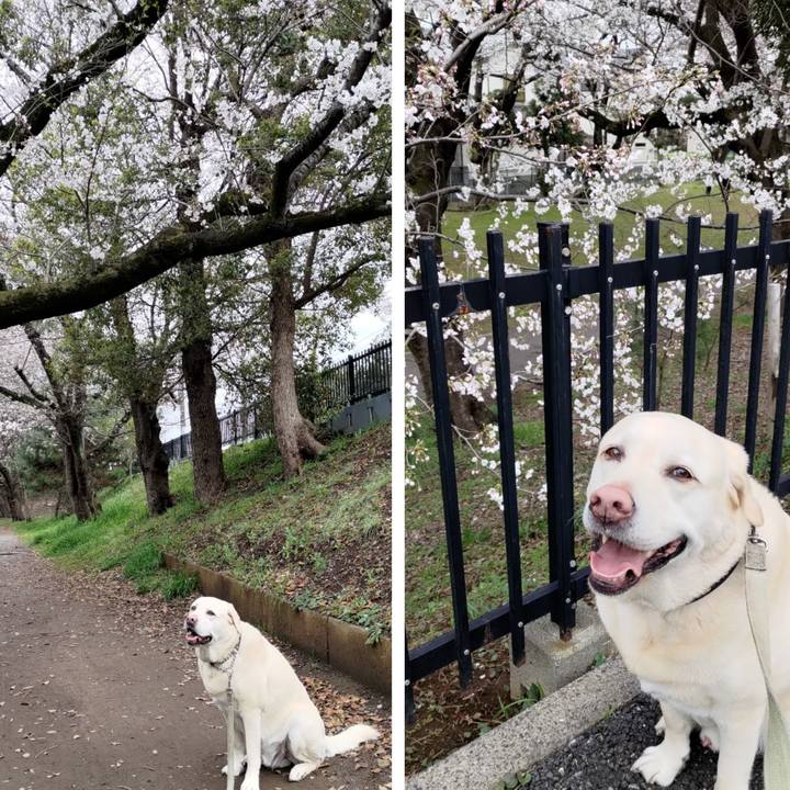 Cea5843a 99e7 4afd 8f41 6b2710ff0fc3 1712283394424